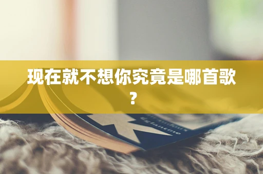 现在就不想你究竟是哪首歌？