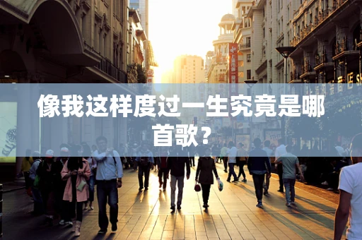 像我这样度过一生究竟是哪首歌？