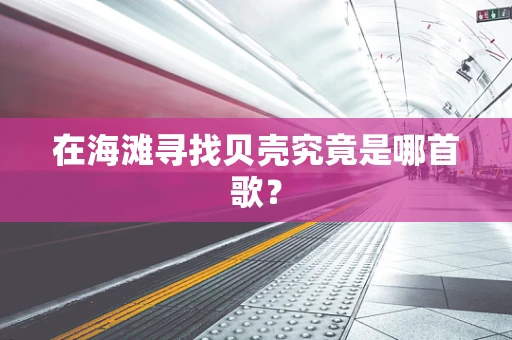 在海滩寻找贝壳究竟是哪首歌？