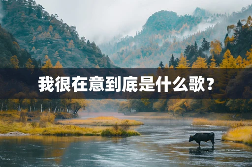 我很在意到底是什么歌？