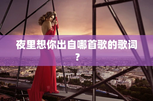 夜里想你出自哪首歌的歌词？