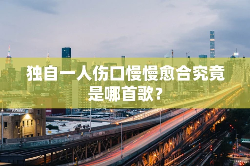 独自一人伤口慢慢愈合究竟是哪首歌？