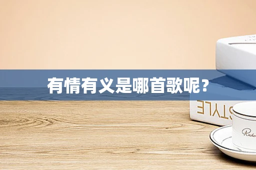 有情有义是哪首歌呢？