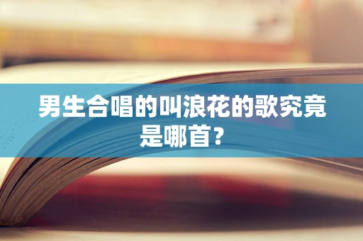 男生合唱的叫浪花的歌究竟是哪首？
