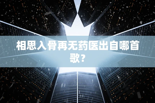 相思入骨再无药医出自哪首歌？