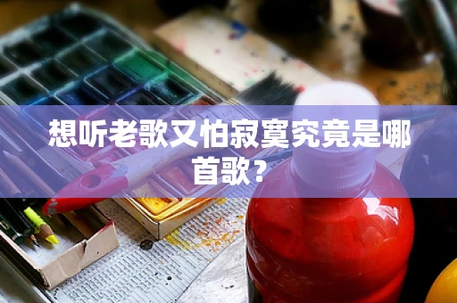想听老歌又怕寂寞究竟是哪首歌？