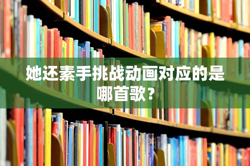 她还素手挑战动画对应的是哪首歌？
