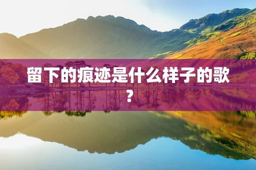 留下的痕迹是什么样子的歌？