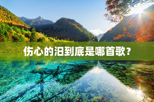 伤心的汨到底是哪首歌？