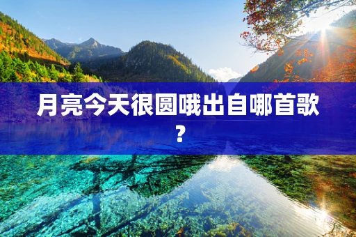 月亮今天很圆哦出自哪首歌？
