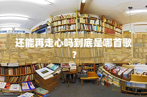 还能再走心吗到底是哪首歌？