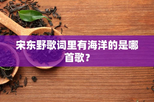 宋东野歌词里有海洋的是哪首歌？