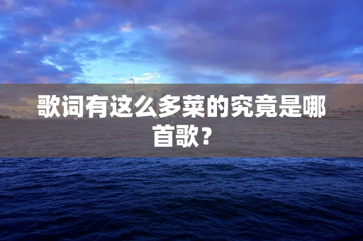 歌词有这么多菜的究竟是哪首歌？