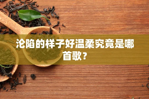 沦陷的样子好温柔究竟是哪首歌？