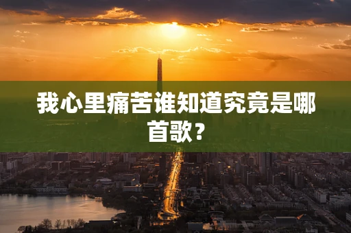 我心里痛苦谁知道究竟是哪首歌？