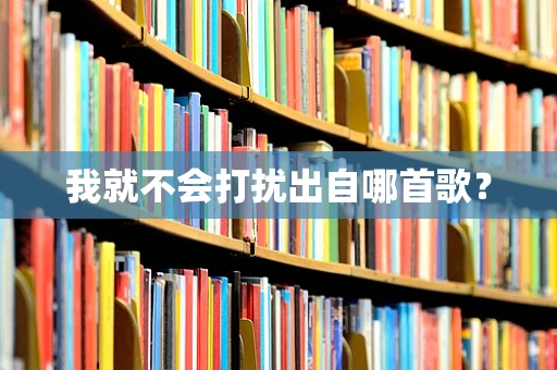 我就不会打扰出自哪首歌？