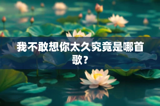 我不敢想你太久究竟是哪首歌？