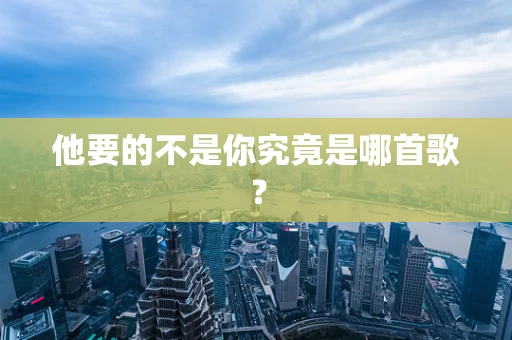 他要的不是你究竟是哪首歌？