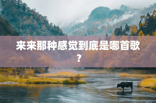 来来那种感觉到底是哪首歌？