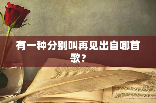 有一种分别叫再见出自哪首歌？