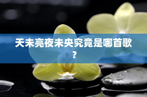 天未亮夜未央究竟是哪首歌？
