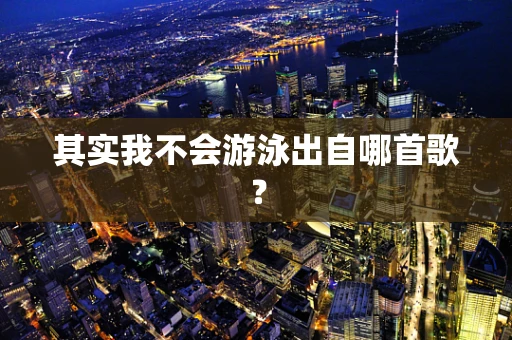 其实我不会游泳出自哪首歌？