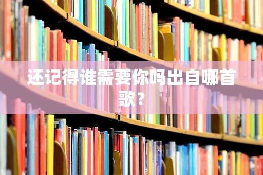 还记得谁需要你吗出自哪首歌？