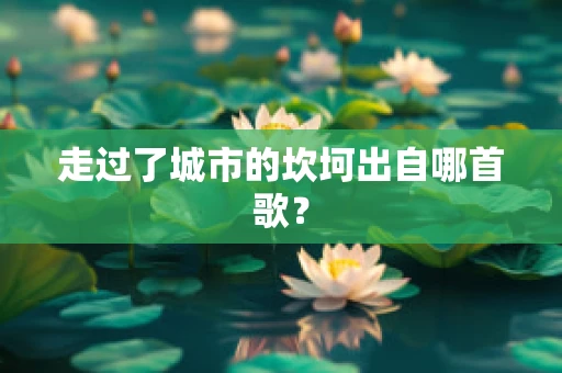 走过了城市的坎坷出自哪首歌？