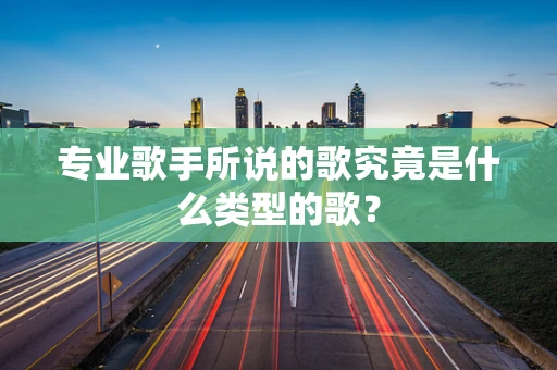 专业歌手所说的歌究竟是什么类型的歌？