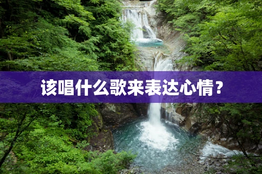 该唱什么歌来表达心情？