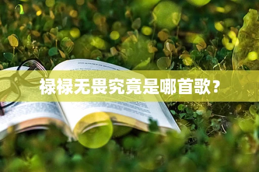 禄禄无畏究竟是哪首歌？