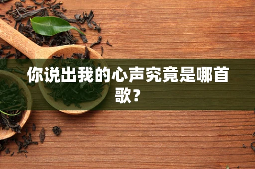 你说出我的心声究竟是哪首歌？