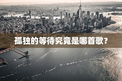 孤独的等待究竟是哪首歌？