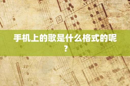 手机上的歌是什么格式的呢？