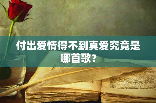 付出爱情得不到真爱究竟是哪首歌？