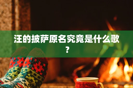 汪的披萨原名究竟是什么歌？