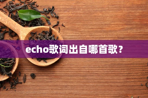 echo歌词出自哪首歌？