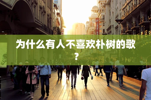为什么有人不喜欢朴树的歌？