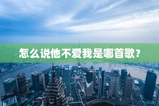 怎么说他不爱我是哪首歌？