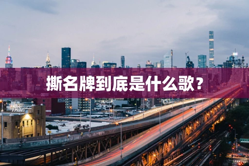 撕名牌到底是什么歌？