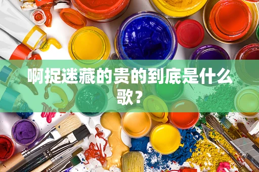 啊捉迷藏的贵的到底是什么歌？