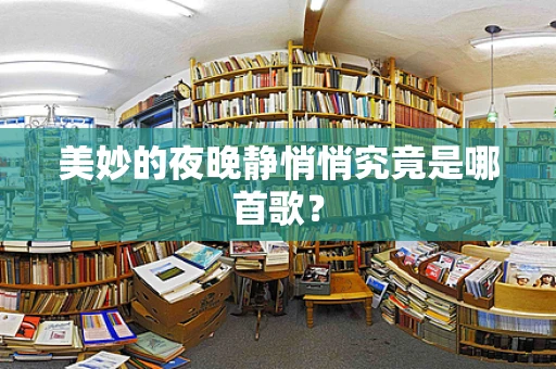 美妙的夜晚静悄悄究竟是哪首歌？