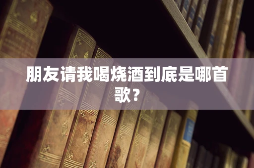 朋友请我喝烧酒到底是哪首歌？