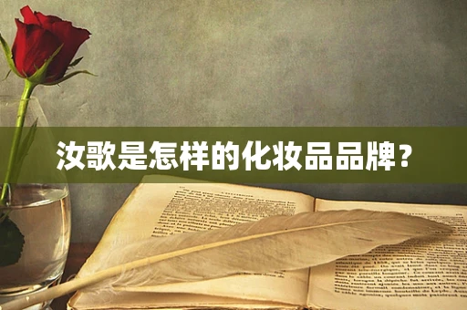 汝歌是怎样的化妆品品牌？