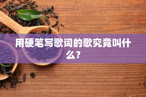 用硬笔写歌词的歌究竟叫什么？