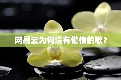 网易云为何没有懒惰的歌？