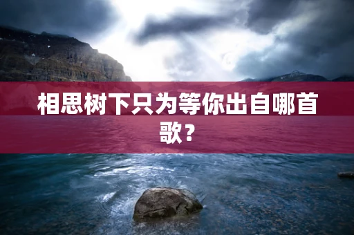 相思树下只为等你出自哪首歌？