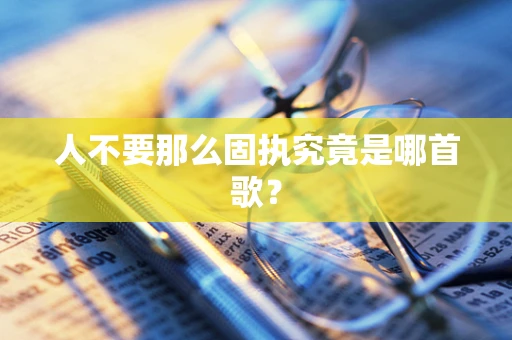 人不要那么固执究竟是哪首歌？