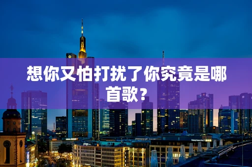 想你又怕打扰了你究竟是哪首歌？