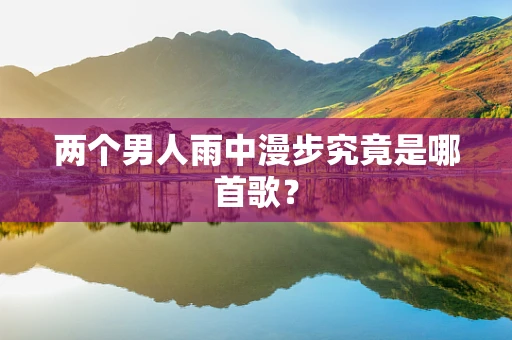 两个男人雨中漫步究竟是哪首歌？